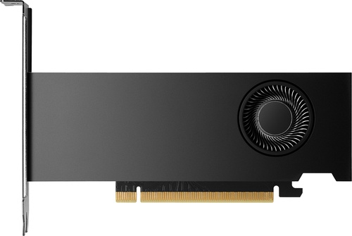 HP HP NVIDIA RTX 2000 Ada 16 GB GDDR6 - COMPONENTI | TecnoCARE.net Sabaudia, Latina, Terracina, San Felice Circeo e Pontinia