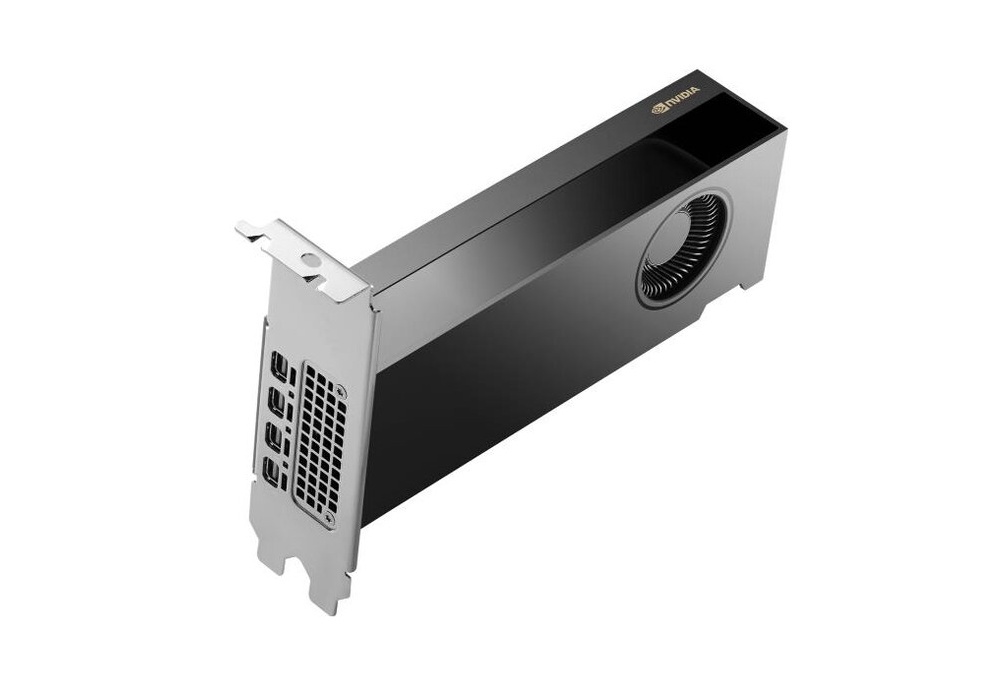 HP HP NVIDIA RTX PH x2xxx 4mDP Graphics - COMPONENTI | TecnoCARE.net Sabaudia, Latina, Terracina, San Felice Circeo e Pontinia