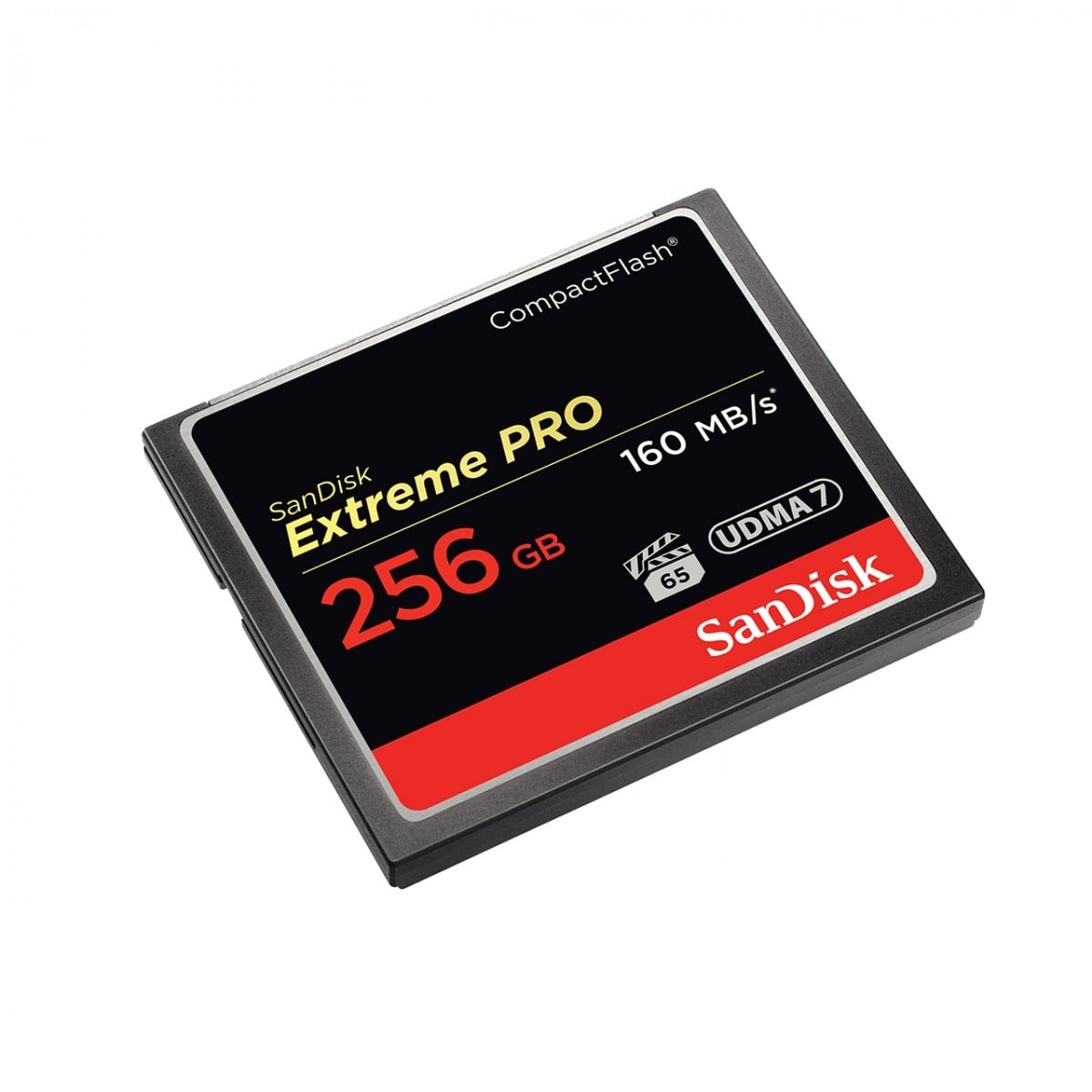 SANDISK SanDisk Extreme PRO, 256GB CompactFlash - SUPPORTI PER LA MEMORIZZAZIONE | TecnoCARE.net Sabaudia, Latina, Terracina, San Felice Circeo e Pontinia