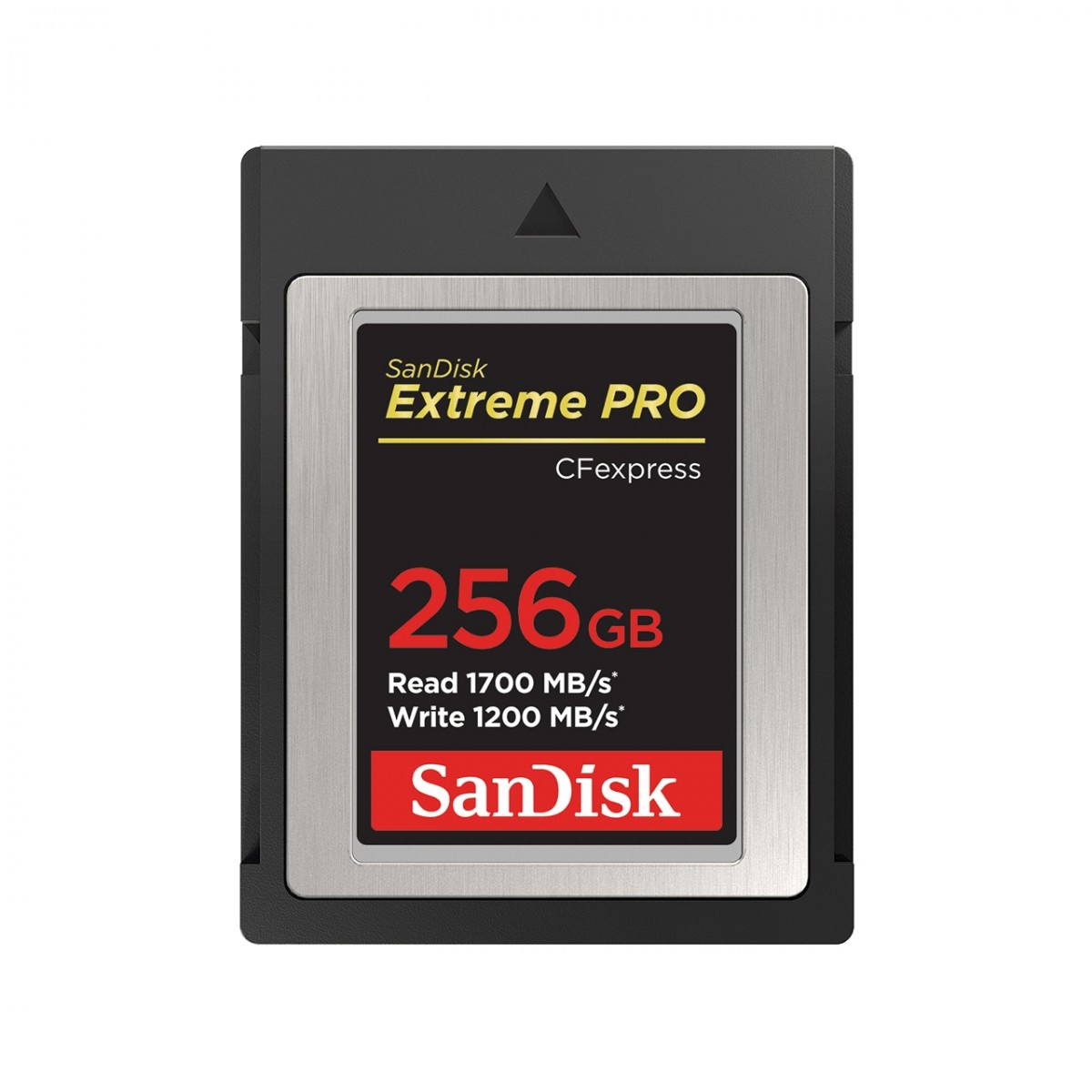 SANDISK SanDisk SDCFE-256G-GN4NN memoria flash 256 GB CFexpress - SUPPORTI PER LA MEMORIZZAZIONE | TecnoCARE.net Sabaudia, Latina, Terracina, San Felice Circeo e Pontinia