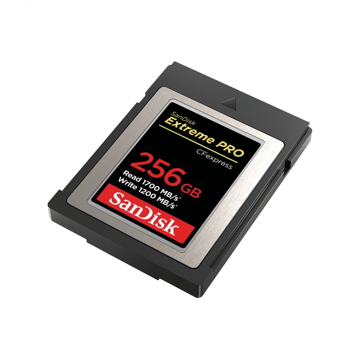 SANDISK SanDisk SDCFE-256G-GN4NN memoria flash 256 GB CFexpress - SUPPORTI PER LA MEMORIZZAZIONE | TecnoCARE.net Sabaudia, Latina, Terracina, San Felice Circeo e Pontinia