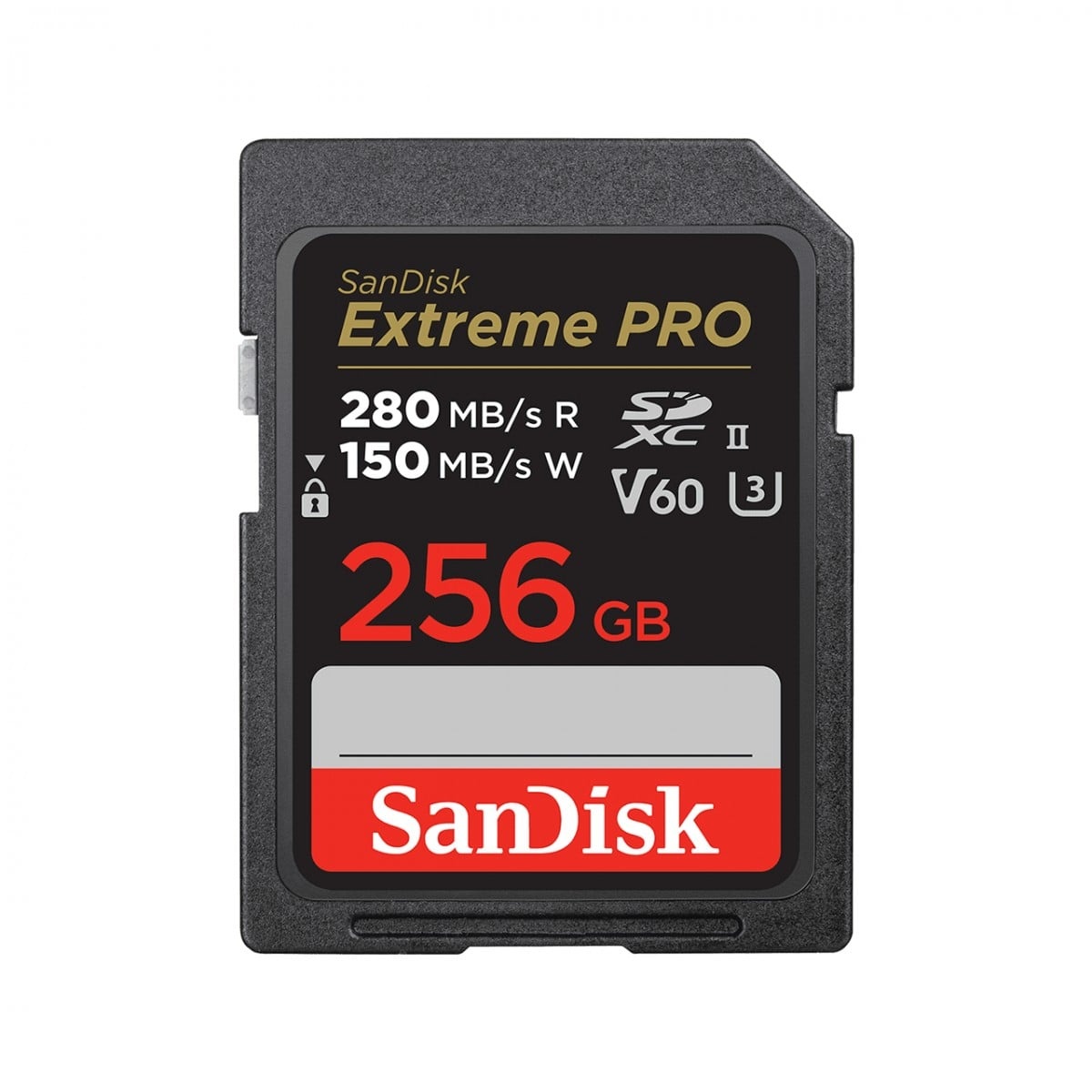 SANDISK SanDisk SDSDXEP-256G-GN4IN memoria flash 256 GB SDXC UHS-II Classe 10 - SUPPORTI PER LA MEMORIZZAZIONE | TecnoCARE.net Sabaudia, Latina, Terracina, San Felice Circeo e Pontinia