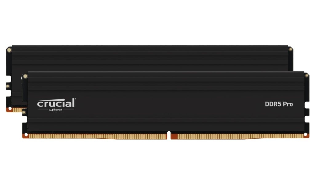 CRUCIAL Modulo di memoria Crucial Pro CP2K16G56C46U5 32 GB 2 x 16 GB DDR5 - COMPONENTI | TecnoCARE.net Sabaudia, Latina, Terracina, San Felice Circeo e Pontinia