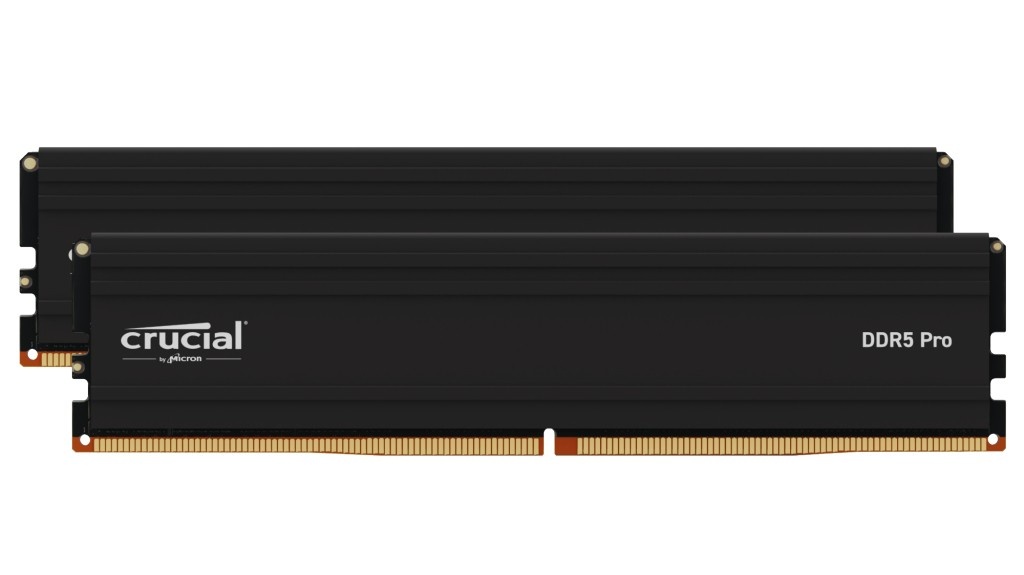 CRUCIAL Crucial Pro CP2K32G56C46U5 memoria 64 GB 2 x 32 GB DDR5 288-pin DIMM - COMPONENTI | TecnoCARE.net Sabaudia, Latina, Terracina, San Felice Circeo e Pontinia