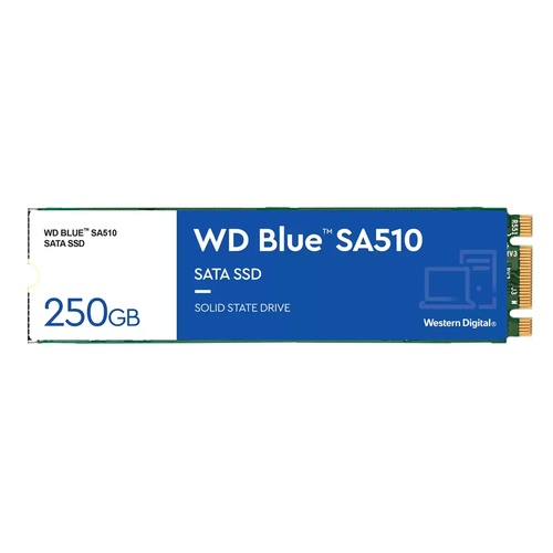 WESTERN DIGITAL WESTERN DIGITAL SSD INTERNO BLUE 250GB M.2 SATA 6GB/S Read/Write 555/440 Mbs - SSD INTERNI | TecnoCARE.net Sabaudia, Latina, Terracina, San Felice Circeo e Pontinia