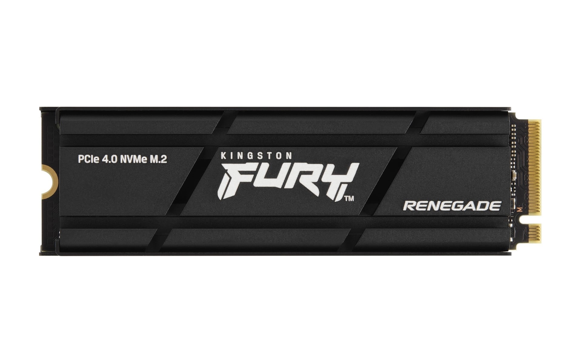 KINGSTON Kingston Technology FURY Renegade 2 TB M.2 PCI Express 4.0 3D TLC - SUPPORTI PER LA MEMORIZZAZIONE | TecnoCARE.net Sabaudia, Latina, Terracina, San Felice Circeo e Pontinia