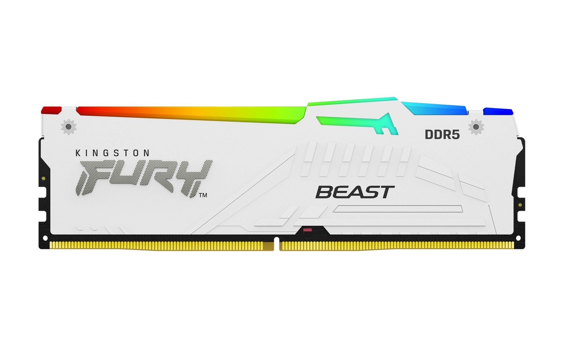 KINGSTON Kingston Technology FURY Beast 32GB 5600MT/s DDR5 CL36 DIMM Bianco RGB EXPO - COMPONENTI | TecnoCARE.net Sabaudia, Latina, Terracina, San Felice Circeo e Pontinia