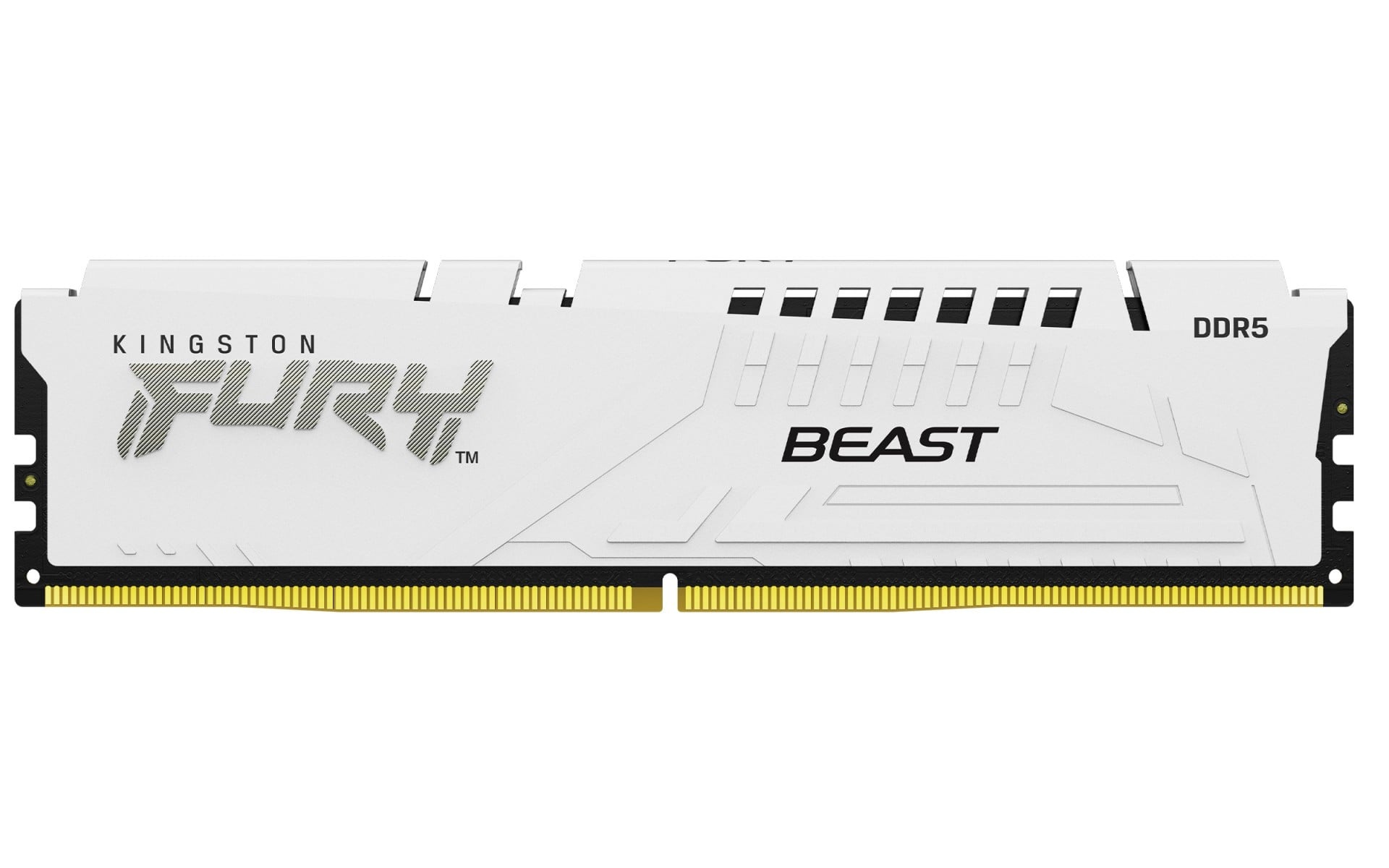 KINGSTON Kingston Technology FURY Beast 16GB 5200MT/s DDR5 CL40 DIMM Bianco XMP - COMPONENTI | TecnoCARE.net Sabaudia, Latina, Terracina, San Felice Circeo e Pontinia