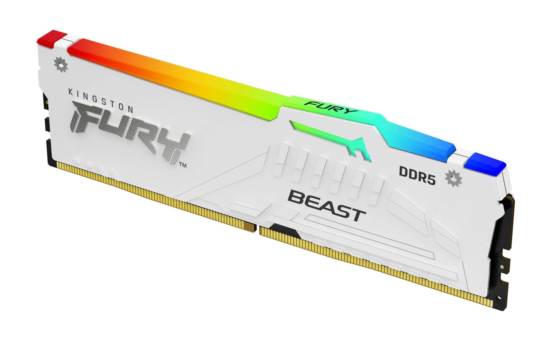 KINGSTON Kingston Technology FURY Beast 64GB 6400MT/s DDR5 CL32 DIMM (Kit di 2) Bianco RGB EXPO - COMPONENTI | TecnoCARE.net Sabaudia, Latina, Terracina, San Felice Circeo e Pontinia