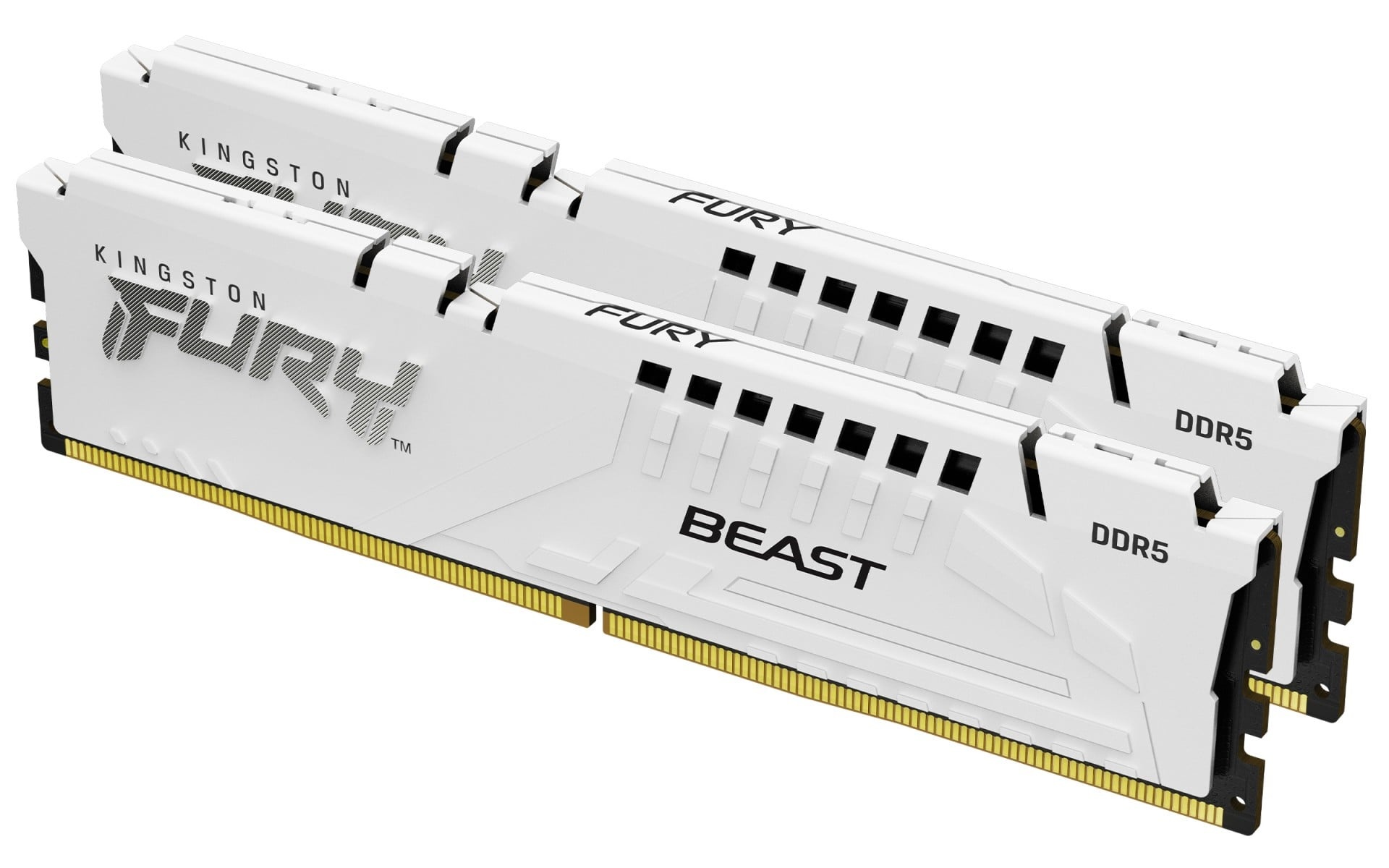 KINGSTON Kingston Technology FURY Beast 64GB 6000MT/s DDR5 CL30 DIMM (Kit di 2) Bianco EXPO - COMPONENTI | TecnoCARE.net Sabaudia, Latina, Terracina, San Felice Circeo e Pontinia