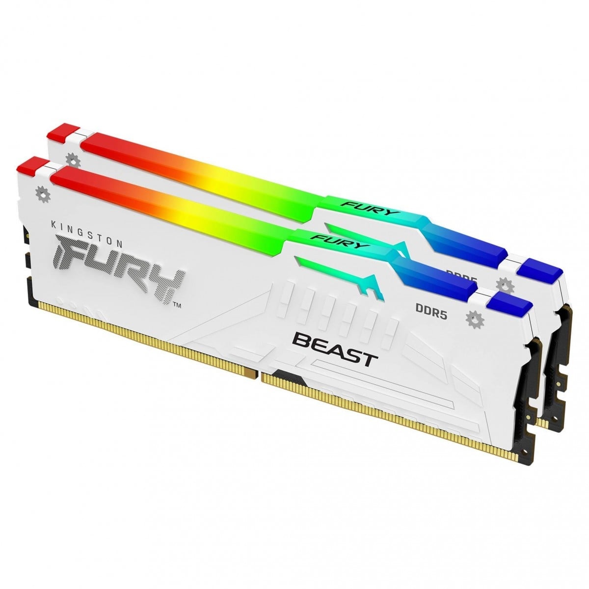 KINGSTON Kingston Technology FURY Beast 32GB 6000MT/s DDR5 CL30 DIMM (Kit di 2) Bianco RGB EXPO - COMPONENTI | TecnoCARE.net Sabaudia, Latina, Terracina, San Felice Circeo e Pontinia
