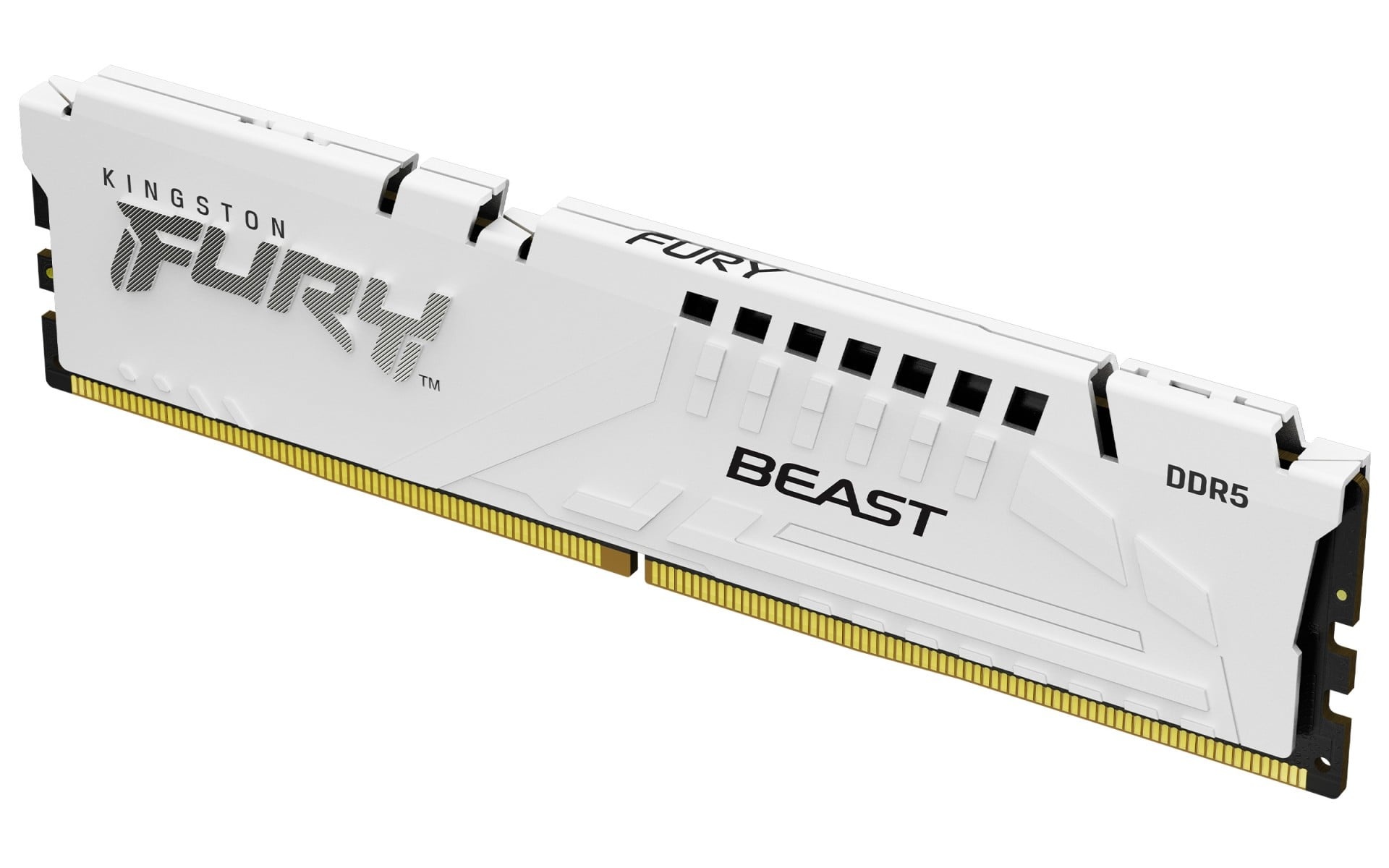 KINGSTON Kingston Technology FURY Beast 16GB 6000MT/s DDR5 CL36 DIMM Bianco EXPO - COMPONENTI | TecnoCARE.net Sabaudia, Latina, Terracina, San Felice Circeo e Pontinia