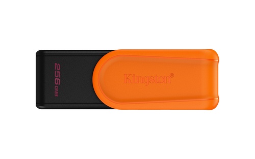 KINGSTON KINGSTON PEN DISK USB 3.2 256GB DATATRAVELER EXODIA - MEMORIE USB | TecnoCARE.net Sabaudia, Latina, Terracina, San Felice Circeo e Pontinia