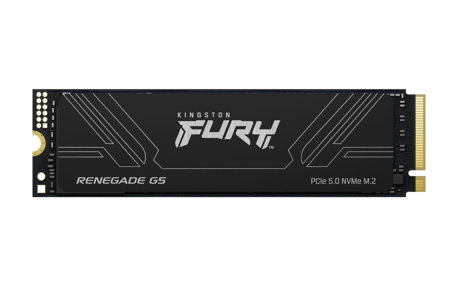 KINGSTON Kingston Technology 2T FURY RENEGADE G5 M.2 2280 NVMe SSD - SUPPORTI PER LA MEMORIZZAZIONE | TecnoCARE.net Sabaudia, Latina, Terracina, San Felice Circeo e Pontinia