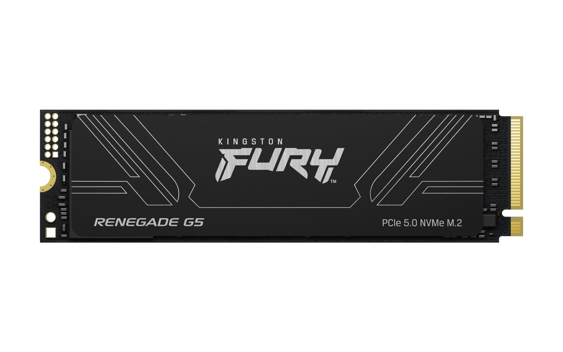 KINGSTON Kingston Technology 8T FURY RENEGADE G5 M.2 2280 NVMe SSD - SUPPORTI PER LA MEMORIZZAZIONE | TecnoCARE.net Sabaudia, Latina, Terracina, San Felice Circeo e Pontinia