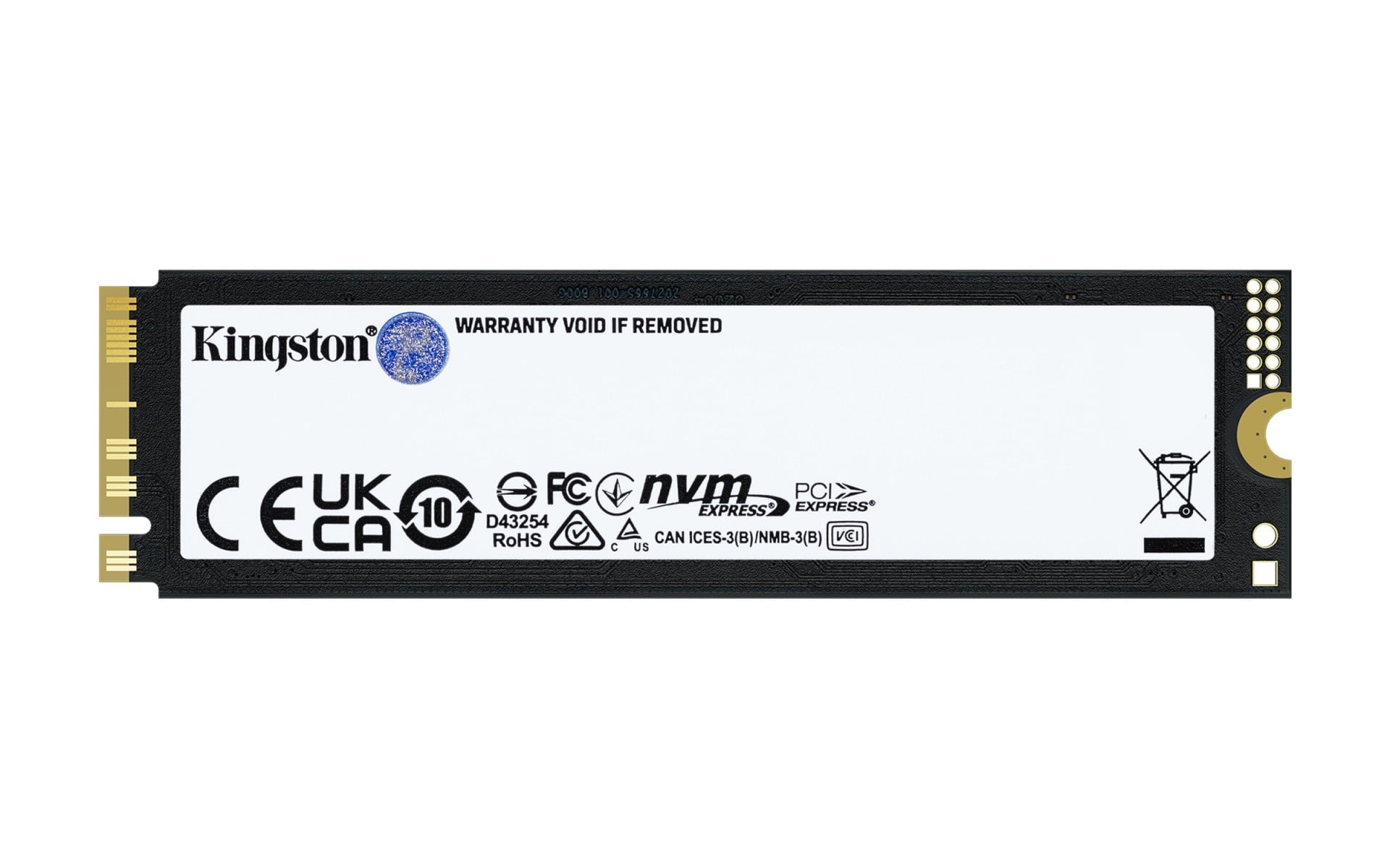 KINGSTON Kingston Technology 8T FURY RENEGADE G5 M.2 2280 NVMe SSD - SUPPORTI PER LA MEMORIZZAZIONE | TecnoCARE.net Sabaudia, Latina, Terracina, San Felice Circeo e Pontinia