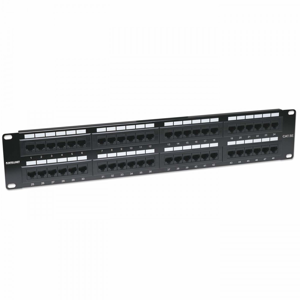 INTELLINET Intellinet 513579 pezzo di pannello 2U - RETI | TecnoCARE.net Sabaudia, Latina, Terracina, San Felice Circeo e Pontinia