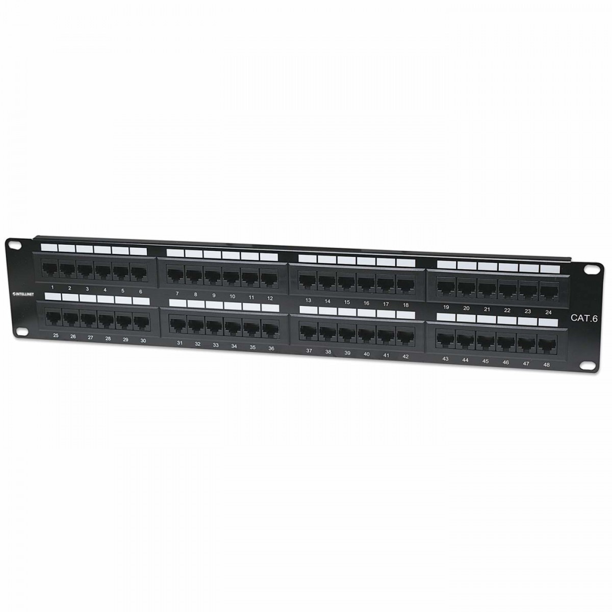 INTELLINET Intellinet 560283 pezzo di pannello 2U - RETI | TecnoCARE.net Sabaudia, Latina, Terracina, San Felice Circeo e Pontinia