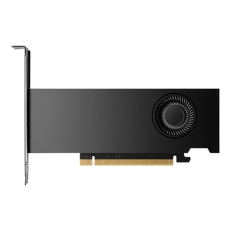 PNY PNY NVIDIA RTX 2000 Generazione Ada Low Profile VCNRTX2000ADA-PB - COMPONENTI | TecnoCARE.net Sabaudia, Latina, Terracina, San Felice Circeo e Pontinia