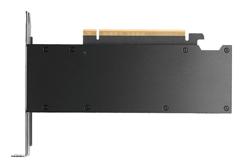 PNY PNY RTX PRO 2000 Blackwell NVIDIA 16 GB GDDR7 - COMPONENTI | TecnoCARE.net Sabaudia, Latina, Terracina, San Felice Circeo e Pontinia