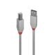 LINDY LINDY CAVO USB 2.0 A/B ANTHRA LINE 2M - CAVI USB | TecnoCARE.net Sabaudia, Latina, Terracina, San Felice Circeo e Pontinia