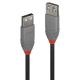 LINDY LINDY CAVO PROLUNGA 3M USB 2.0 KABEL AM / AF  ANTHRA - CAVI USB | TecnoCARE.net Sabaudia, Latina, Terracina, San Felice Circeo e Pontinia