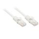 LINDY LINDY CAVO CAT.6 U/UTP BASIC BIANCO, 2M - CAVI DI RETE | TecnoCARE.net Sabaudia, Latina, Terracina, San Felice Circeo e Pontinia