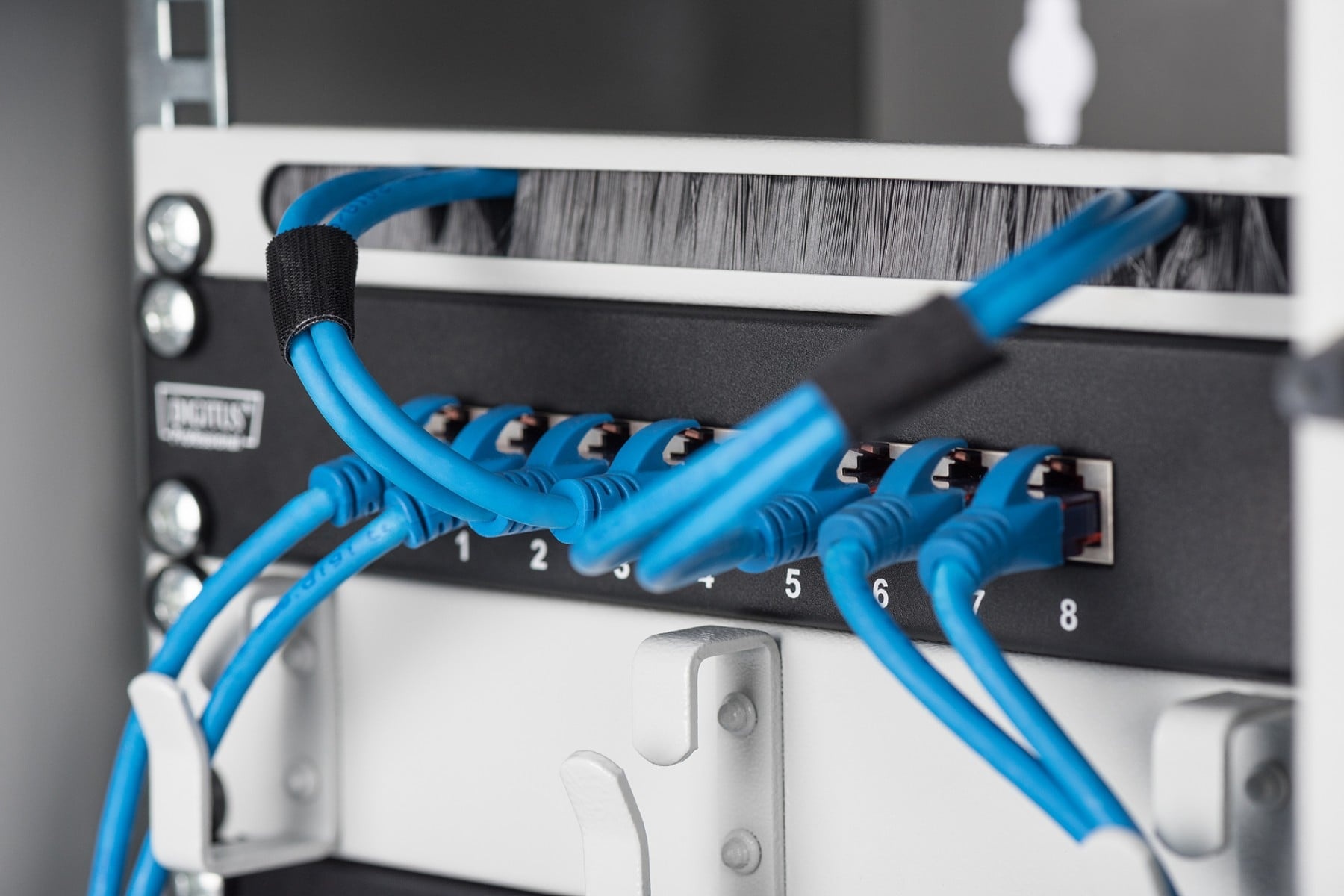 DIGITUS Digitus DN-10 ORG-1/2U Accessorio per pannello di connessione - RETI | TecnoCARE.net Sabaudia, Latina, Terracina, San Felice Circeo e Pontinia