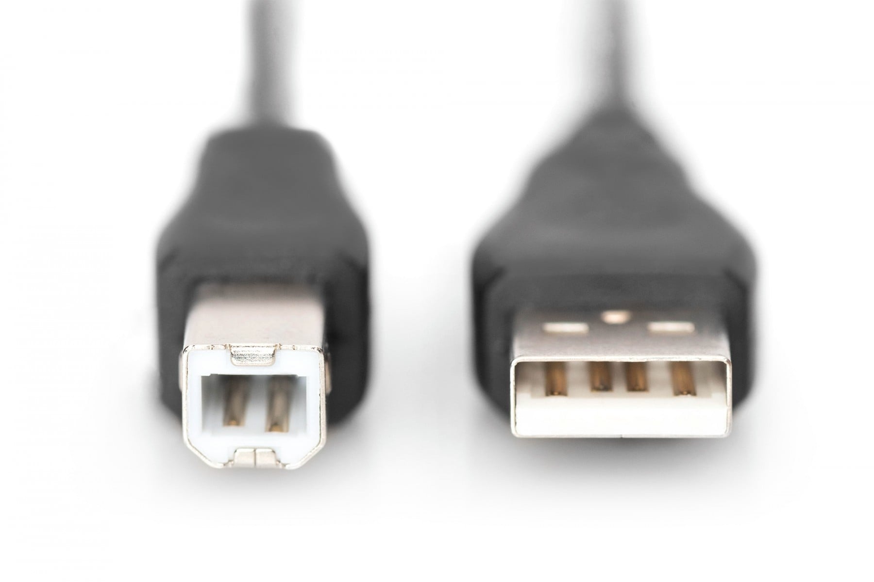 DIGITUS Digitus AK-300102-010-S cavo USB USB 2.0 USB A USB B 0,48 Gbit/s Nero - CAVI PER COMPUTER E PERIFERICHE | TecnoCARE.net Sabaudia, Latina, Terracina, San Felice Circeo e Pontinia