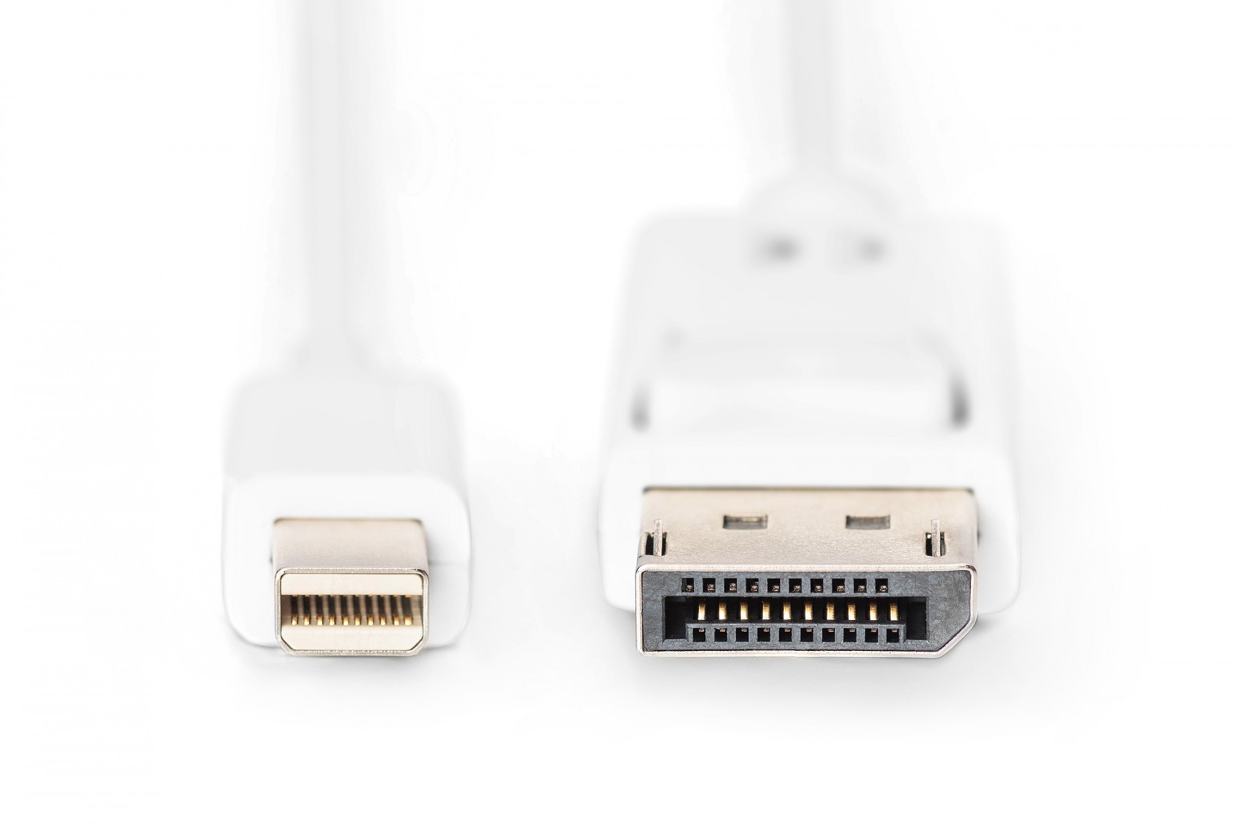 DIGITUS DIGITUS Cavo di collegamento DisplayPort - 1 m - Mini DisplayPort - DisplayPort - Bianco - Nichel - 1.1a - CAVI PER COMPUTER E PERIFERICHE | TecnoCARE.net Sabaudia, Latina, Terracina, San Felice Circeo e Pontinia