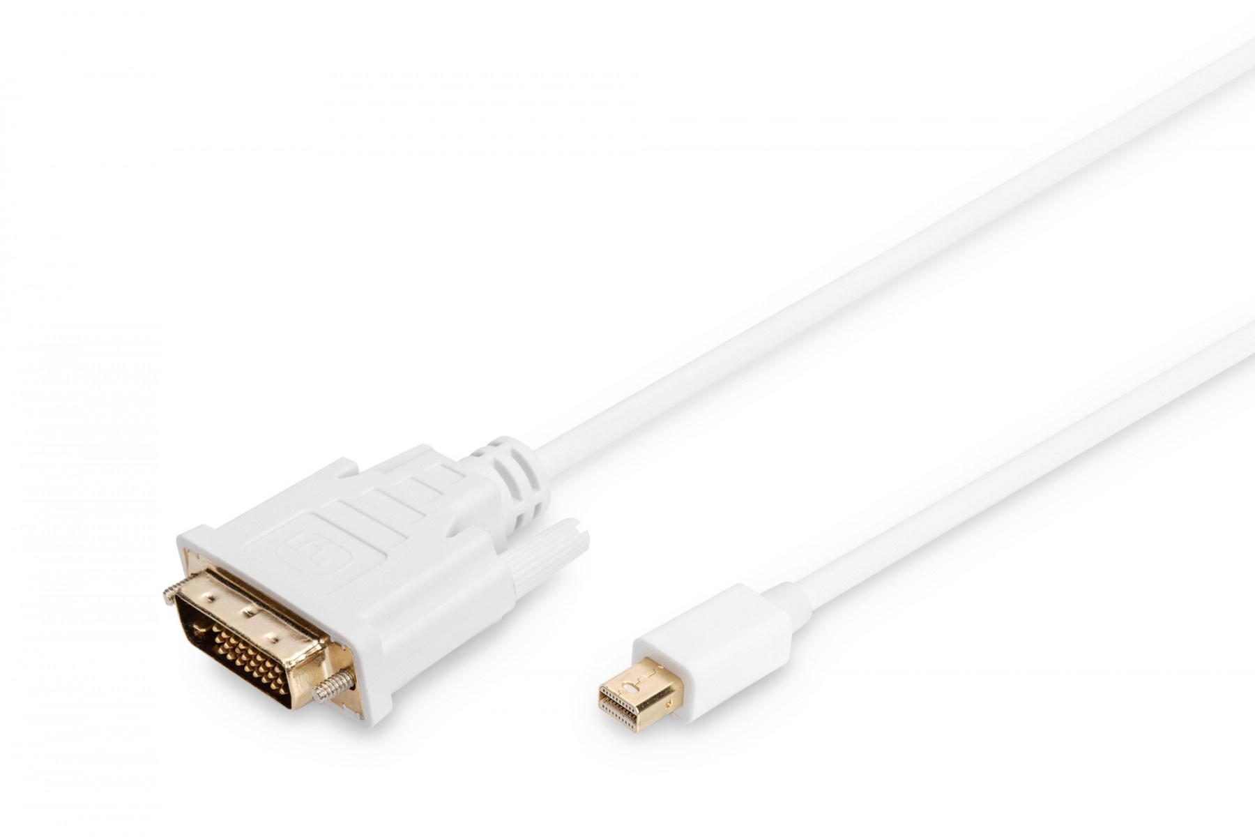 DIGITUS DIGITUS Cavo adattatore DisplayPort - 2 m - Mini DisplayPort - DVI-D - Nichel - 1.1a - Rame - CAVI PER COMPUTER E PERIFERICHE | TecnoCARE.net Sabaudia, Latina, Terracina, San Felice Circeo e Pontinia
