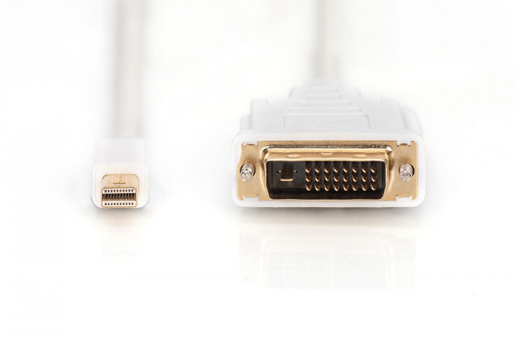 DIGITUS DIGITUS Cavo adattatore DisplayPort - 2 m - Mini DisplayPort - DVI-D - Nichel - 1.1a - Rame - CAVI PER COMPUTER E PERIFERICHE | TecnoCARE.net Sabaudia, Latina, Terracina, San Felice Circeo e Pontinia