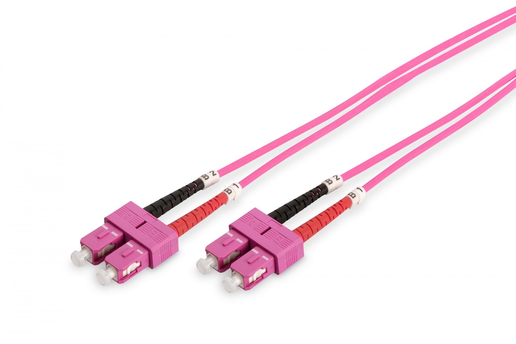 DIGITUS Digitus DK-2522-02-4 cavo InfiniBand e in fibra ottica 2 m I-VH Viola - CAVI PER COMPUTER E PERIFERICHE | TecnoCARE.net Sabaudia, Latina, Terracina, San Felice Circeo e Pontinia