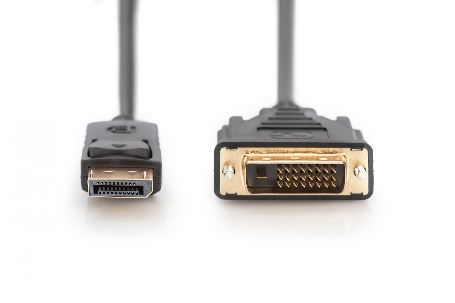 DIGITUS Digitus Cavo adattatore DisplayPort - CAVI PER COMPUTER E PERIFERICHE | TecnoCARE.net Sabaudia, Latina, Terracina, San Felice Circeo e Pontinia
