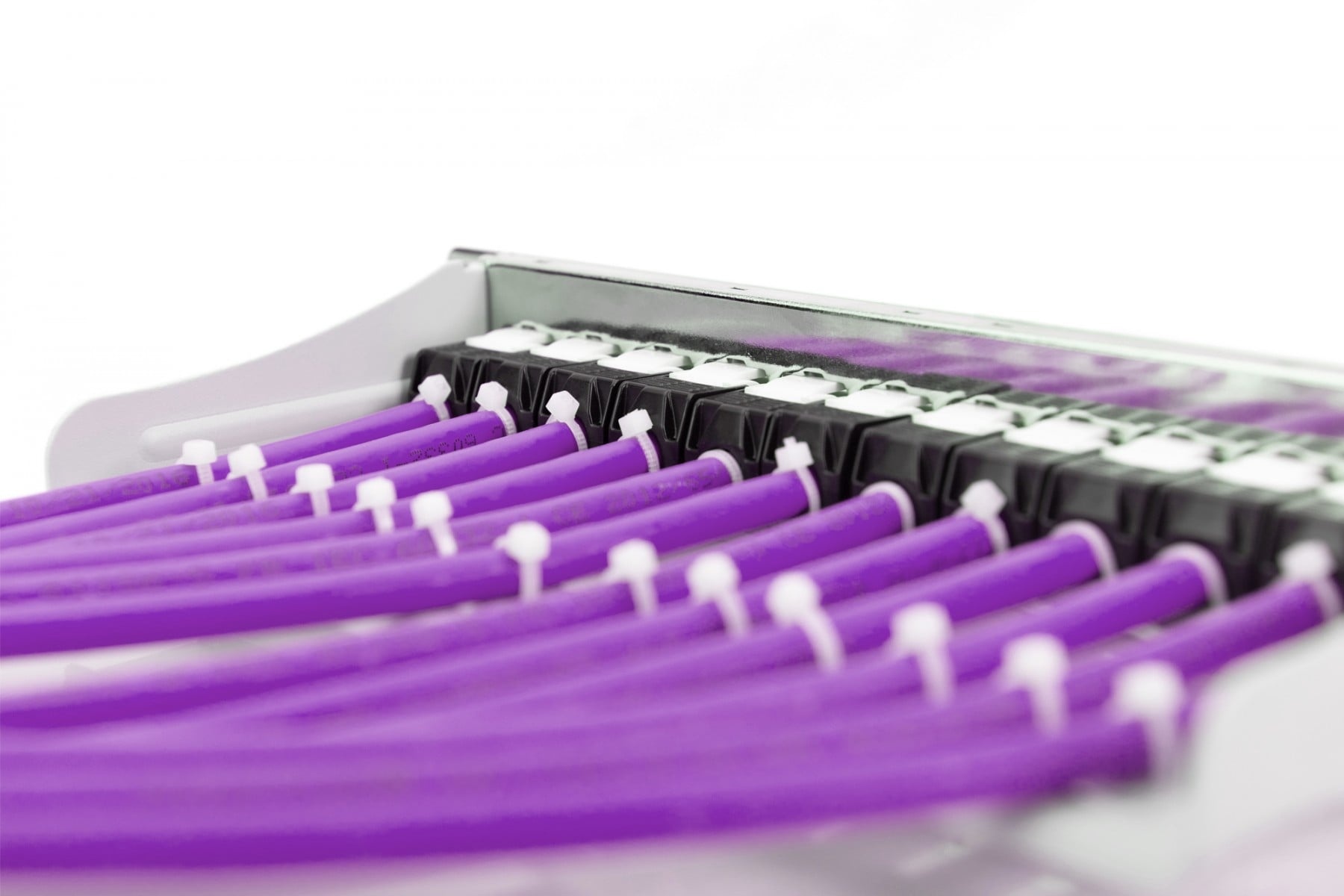 DIGITUS Digitus DK-1614-VH-305 cavo di rete Viola 305 m Cat6 U/UTP (UTP) - CAVI PER COMPUTER E PERIFERICHE | TecnoCARE.net Sabaudia, Latina, Terracina, San Felice Circeo e Pontinia
