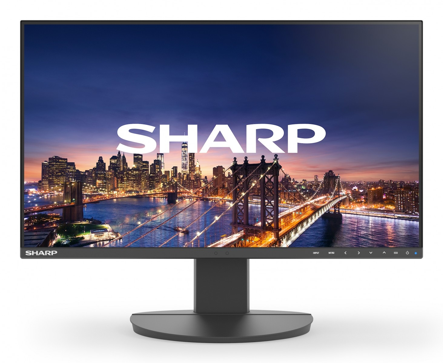 SHARP Sharp 60006212 DD-EA241F Black 24" LCD monitor FHD(1920x1080) DP HDMI DVI VGA 150 mm height adjustable - MONITOR E ACCESSORI | TecnoCARE.net Sabaudia, Latina, Terracina, San Felice Circeo e Pontinia
