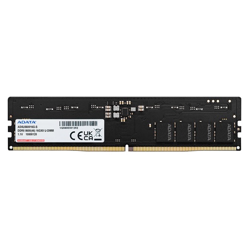 ADATA ADATA RAM 8GB DIMM DDR5 5600MHZ - MEMORIE RAM | TecnoCARE.net Sabaudia, Latina, Terracina, San Felice Circeo e Pontinia