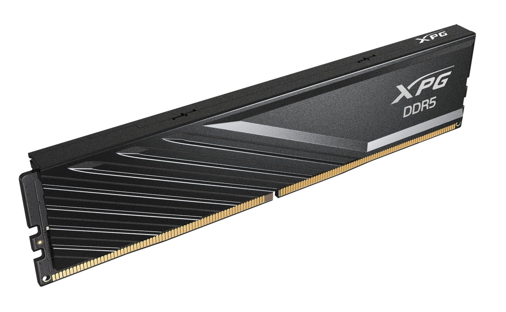 ADATA Modulo di memoria XPG LANCER BLADE 32 GB 2 x 16 GB DDR5 ECC - COMPONENTI | TecnoCARE.net Sabaudia, Latina, Terracina, San Felice Circeo e Pontinia