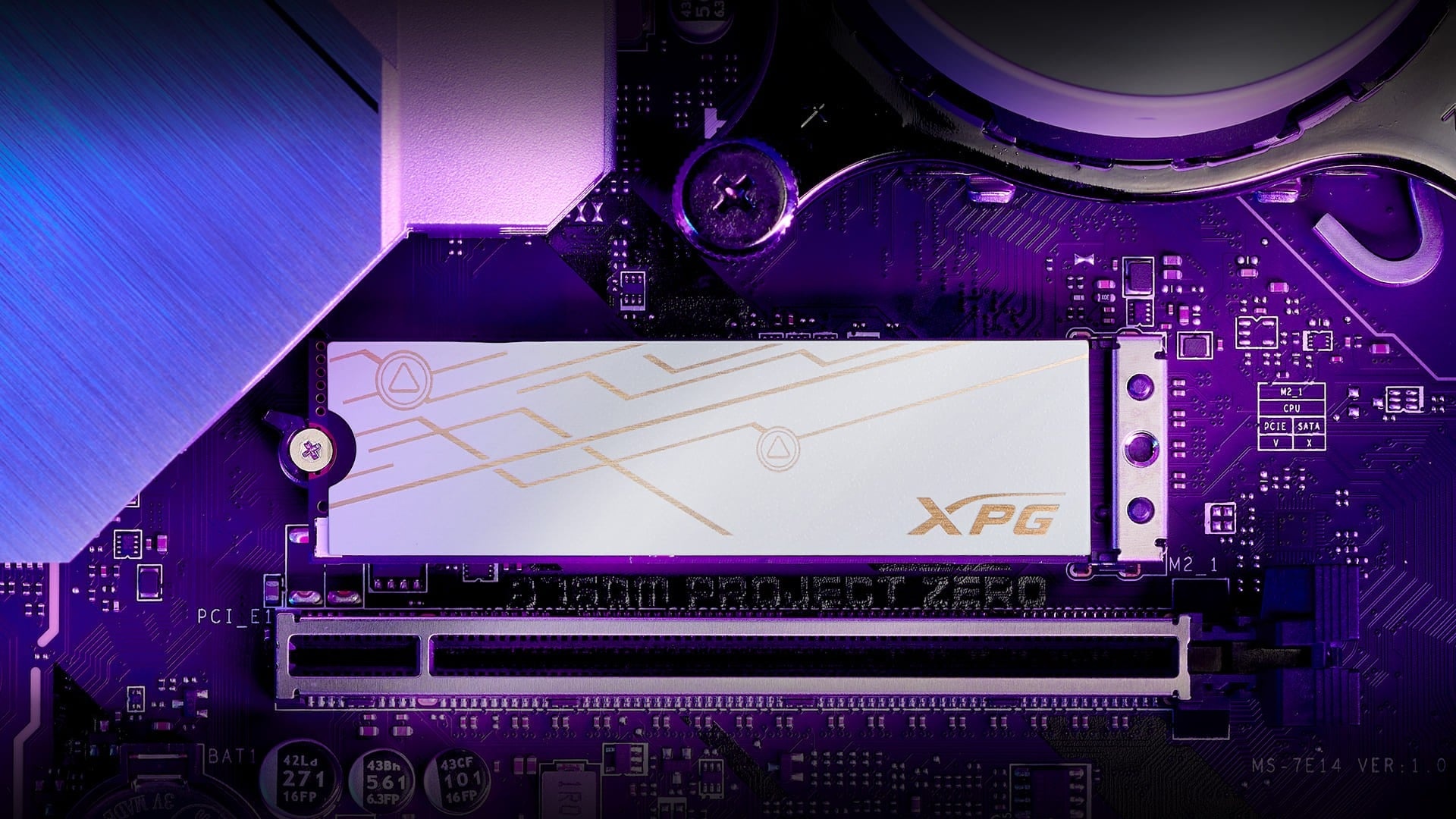 ADATA ADATA SMAR-980B-2TCS unità a stato solido interna 2 TB M.2 PCI Express 5.0 NVMe 3D NAND - SUPPORTI PER LA MEMORIZZAZIONE | TecnoCARE.net Sabaudia, Latina, Terracina, San Felice Circeo e Pontinia