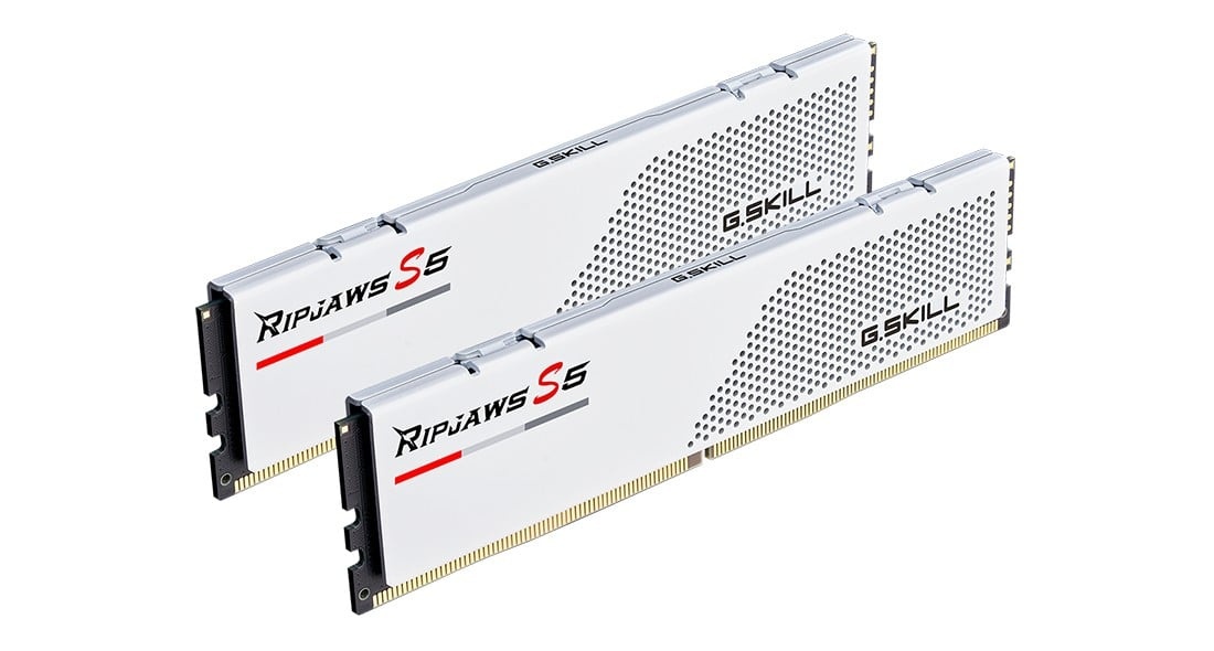 G.SKILL Modulo di memoria G.Skill Ripjaws S5 32 GB 2 x 16 GB DDR5 - COMPONENTI | TecnoCARE.net Sabaudia, Latina, Terracina, San Felice Circeo e Pontinia