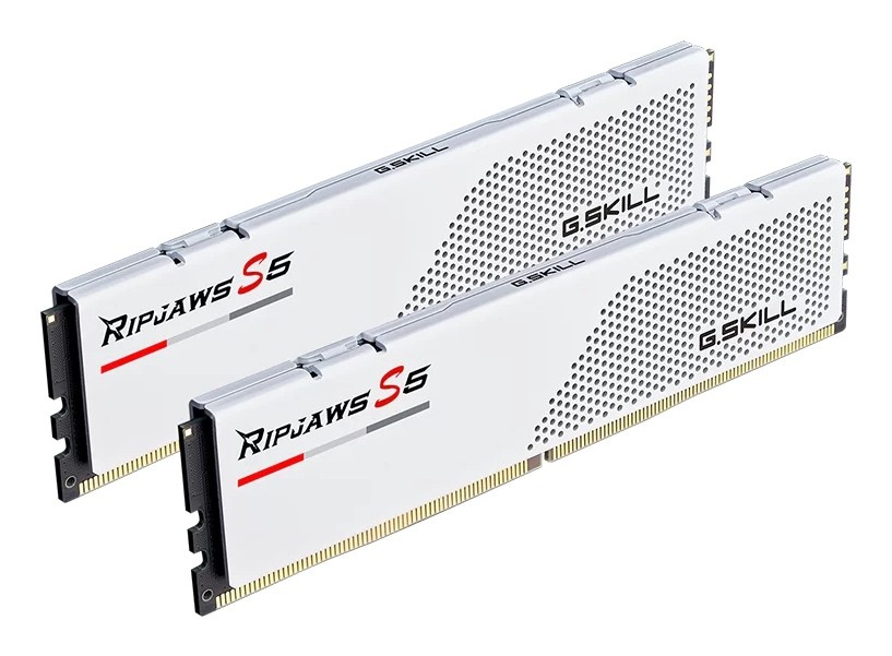 G.SKILL G.Skill F5-6000J2836G32GX2-RS5W modulo di memoria 64 GB 2 x 32 GB DDR5 4800 MT/s - COMPONENTI | TecnoCARE.net Sabaudia, Latina, Terracina, San Felice Circeo e Pontinia