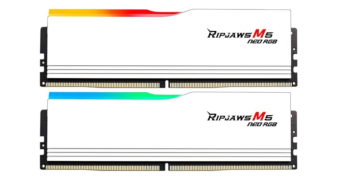 G.SKILL G.Skill Ripjaws M5 RGB F5-6000J2836G32GX2-RM5NRW modulo di memoria 64 GB 2 x 32 GB DDR5 6000 MT/s - COMPONENTI | TecnoCARE.net Sabaudia, Latina, Terracina, San Felice Circeo e Pontinia