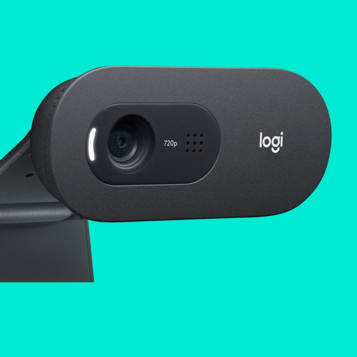 LOGITECH Logitech C505 HD webcam Grafite - AUDIO E CUFFIE PORTATILI | TecnoCARE.net Sabaudia, Latina, Terracina, San Felice Circeo e Pontinia