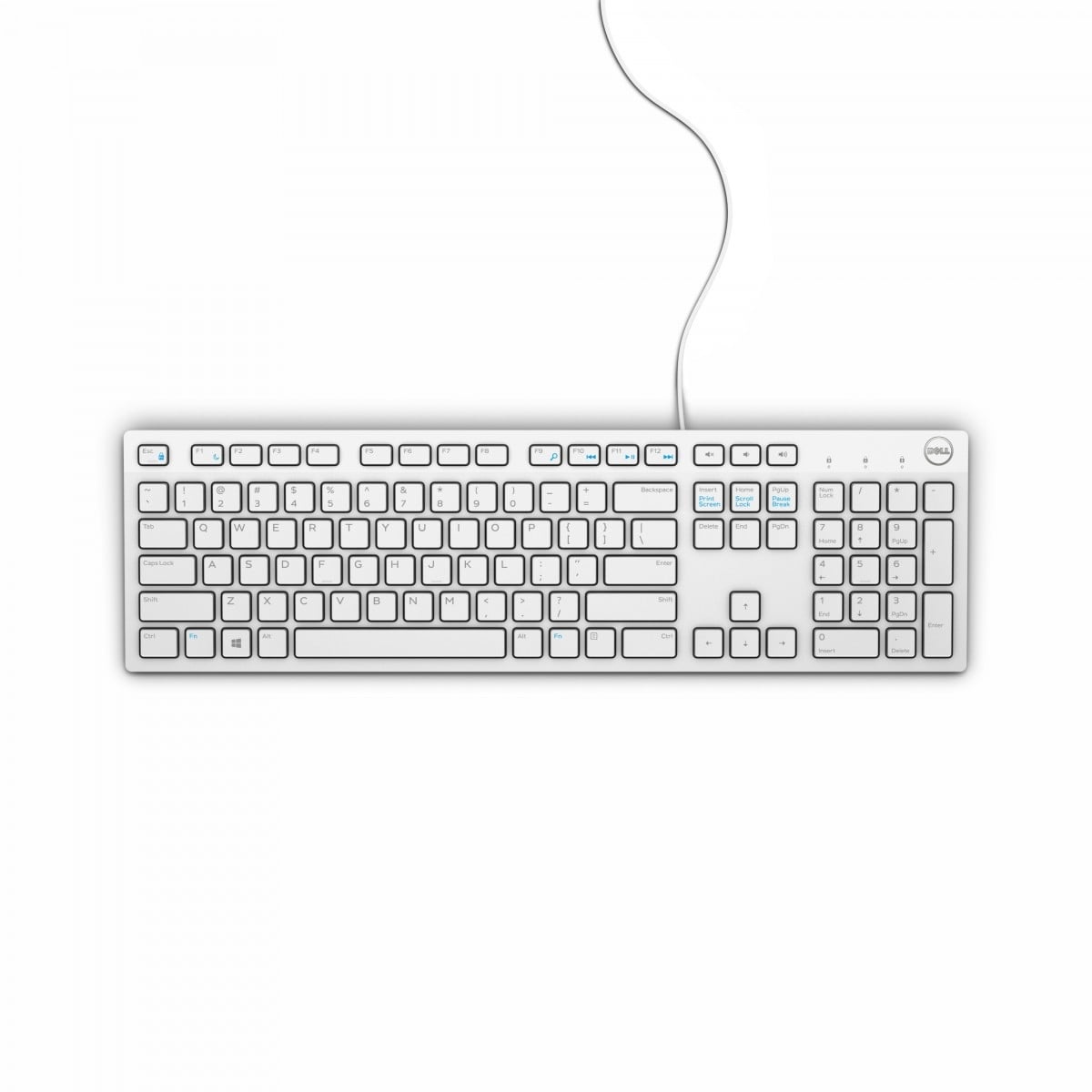 DELL Dell Precision KB216 - Tastiera - QWERTY - Bianco - TASTIERE E CONTROLLER | TecnoCARE.net Sabaudia, Latina, Terracina, San Felice Circeo e Pontinia