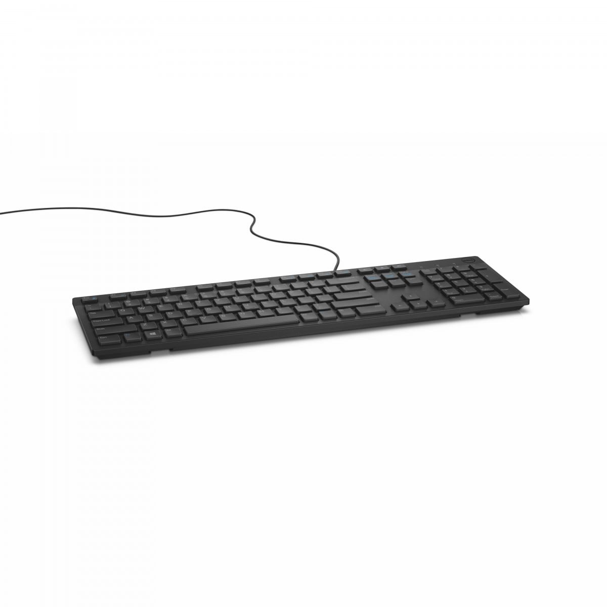 DELL DELL KB216 tastiera Universale USB US International Nero - TASTIERE E CONTROLLER | TecnoCARE.net Sabaudia, Latina, Terracina, San Felice Circeo e Pontinia