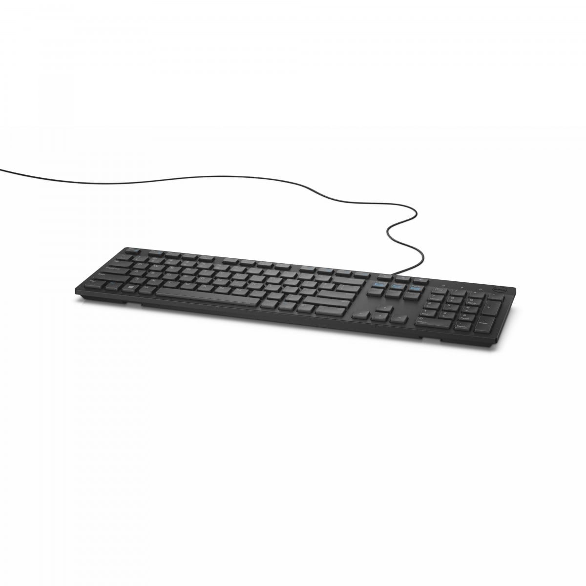 DELL Dell KB216 - Full-size (100%) - USB - QWERTY - Nero - TASTIERE E CONTROLLER | TecnoCARE.net Sabaudia, Latina, Terracina, San Felice Circeo e Pontinia