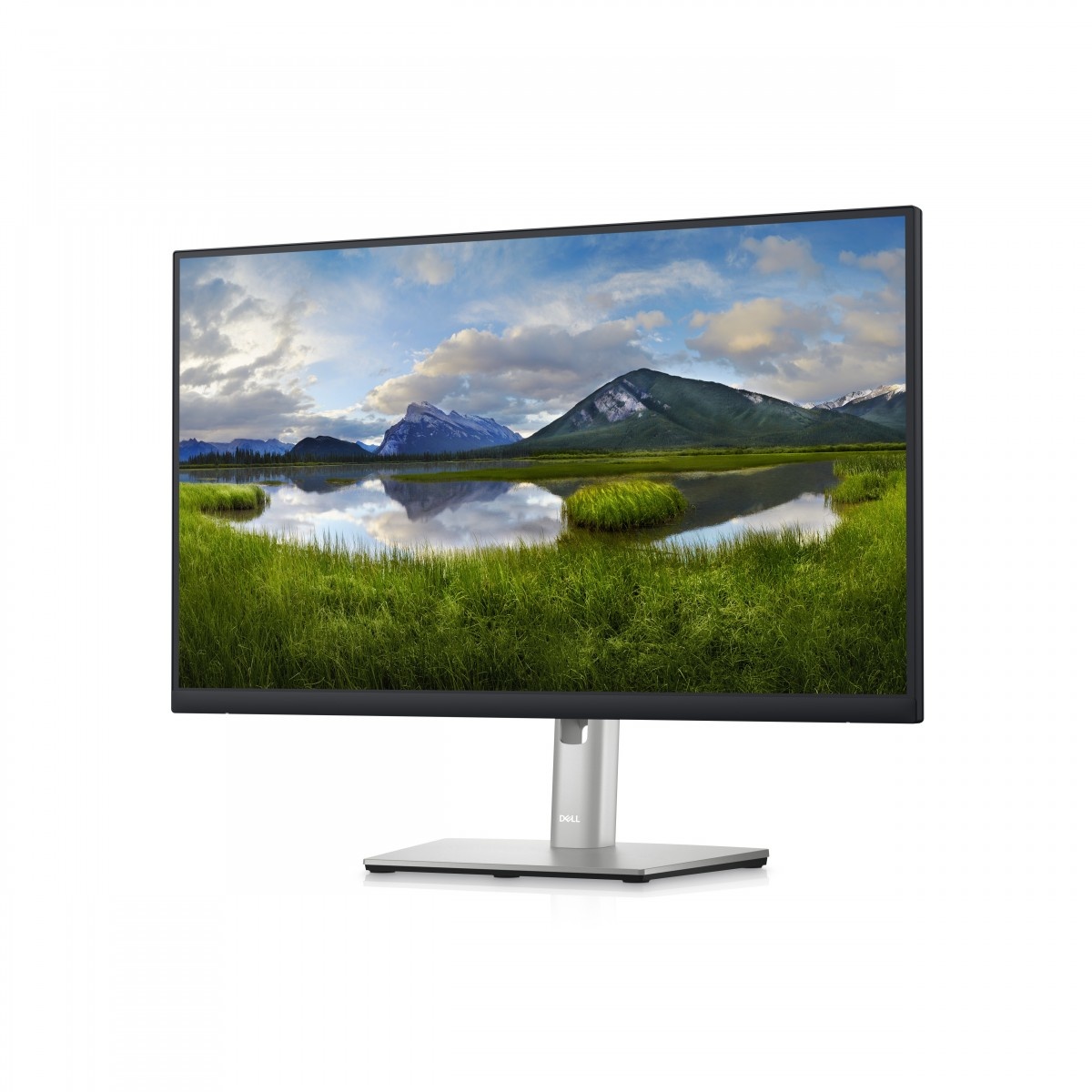 DELL DELL P Series Monitor 24 Hub USB-C - P2423DE - MONITOR E ACCESSORI | TecnoCARE.net Sabaudia, Latina, Terracina, San Felice Circeo e Pontinia