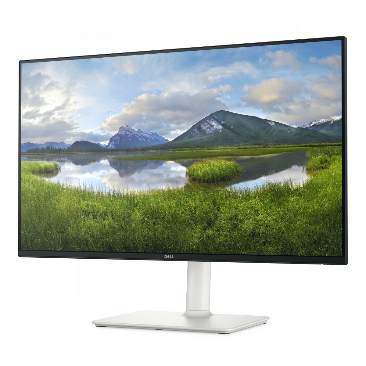 DELL DELL S Series S2425HS Monitor PC 60,5 cm (23.8") 1920 x 1080 Pixel Full HD LCD Nero, Argento - MONITOR E ACCESSORI | TecnoCARE.net Sabaudia, Latina, Terracina, San Felice Circeo e Pontinia