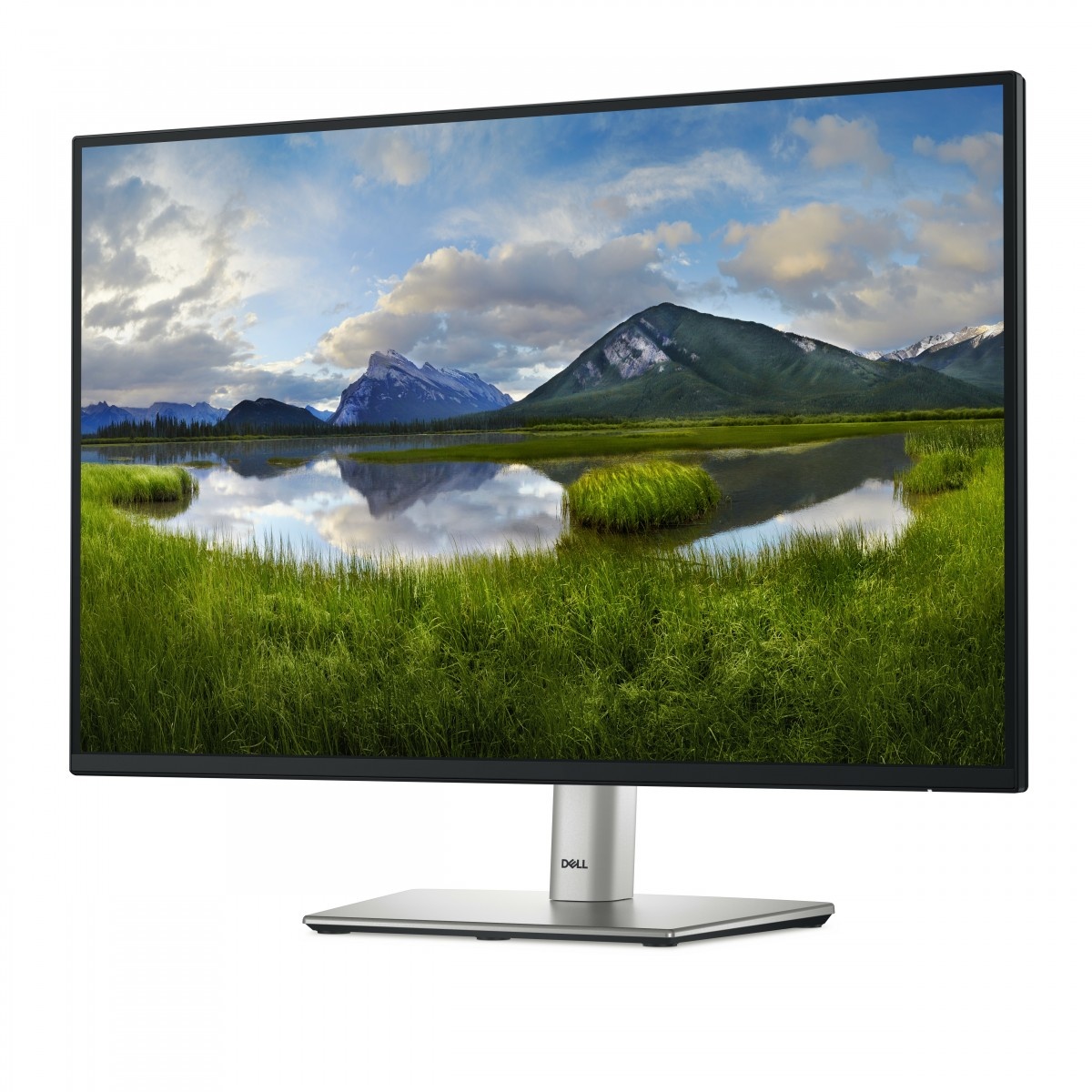 DELL DELL Pro Plus P2425 Monitor PC 61,1 cm (24.1") 1920 x 1200 Pixel WUXGA LCD Nero - MONITOR E ACCESSORI | TecnoCARE.net Sabaudia, Latina, Terracina, San Felice Circeo e Pontinia