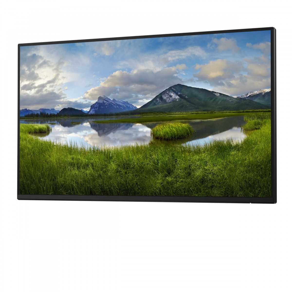 DELL DELL Pro Plus P2425HE_WOST Monitor PC 61 cm (24") 1920 x 1080 Pixel Full HD LCD Nero - MONITOR E ACCESSORI | TecnoCARE.net Sabaudia, Latina, Terracina, San Felice Circeo e Pontinia